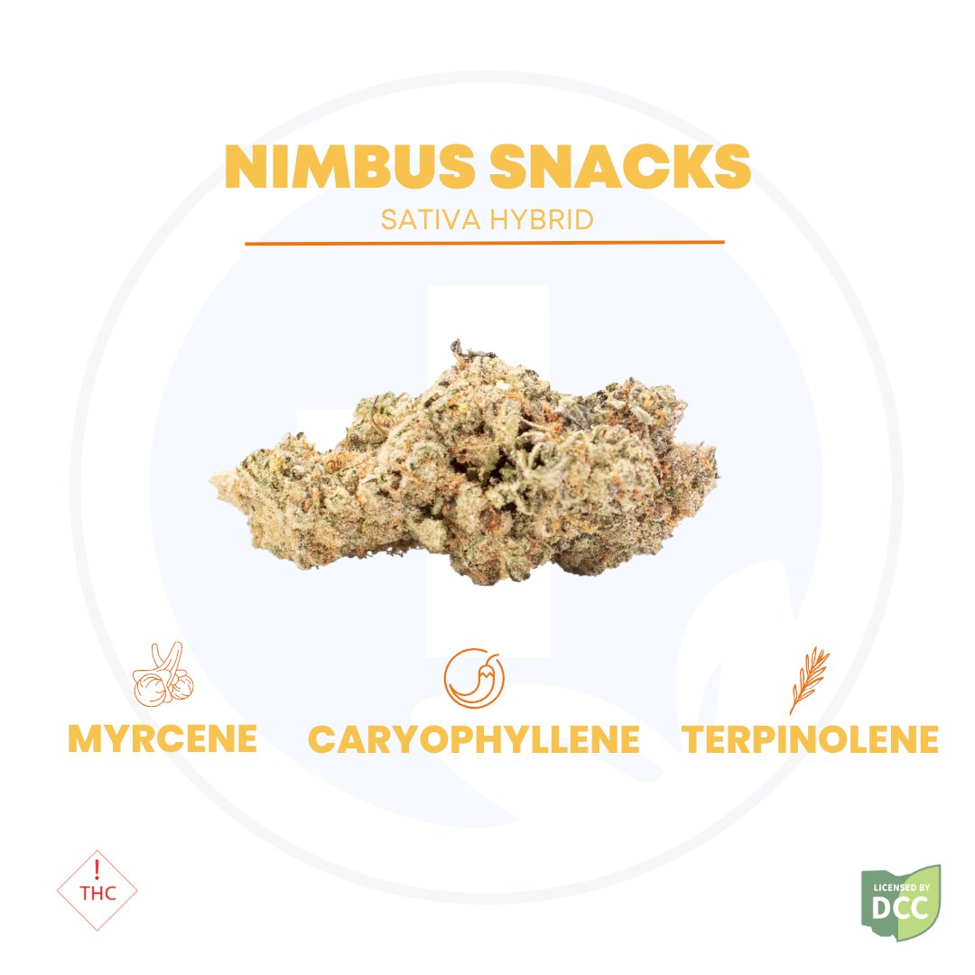 Pure_Ohio_W's tweet photo. This weather has found its perfect match!☀️🍃
Nimbus Snacks delivers exactly what you're looking for on these sunny days. 🍃Don't miss out on the fresh delivery at ALL Pure Ohio Wellness locations.🔥💚
 #pureohiowellnessdayton #pureohiowellnesslondon #pureohiowellnesstallmadge https://t.co/grgmgdoY4u