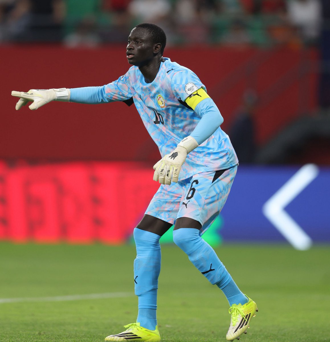 Equipe du Sénégal tweet media
