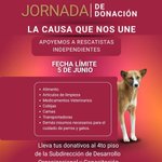 Photo by Medio Ambiente y Bienestar Animal (@MHDMAS_)