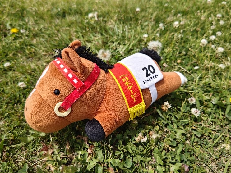 日本ダービートウカイテイオウ　ぬいぐるみ 日曜日には日本ダービーが開催されます🏇 去年は現地で観戦し、優勝