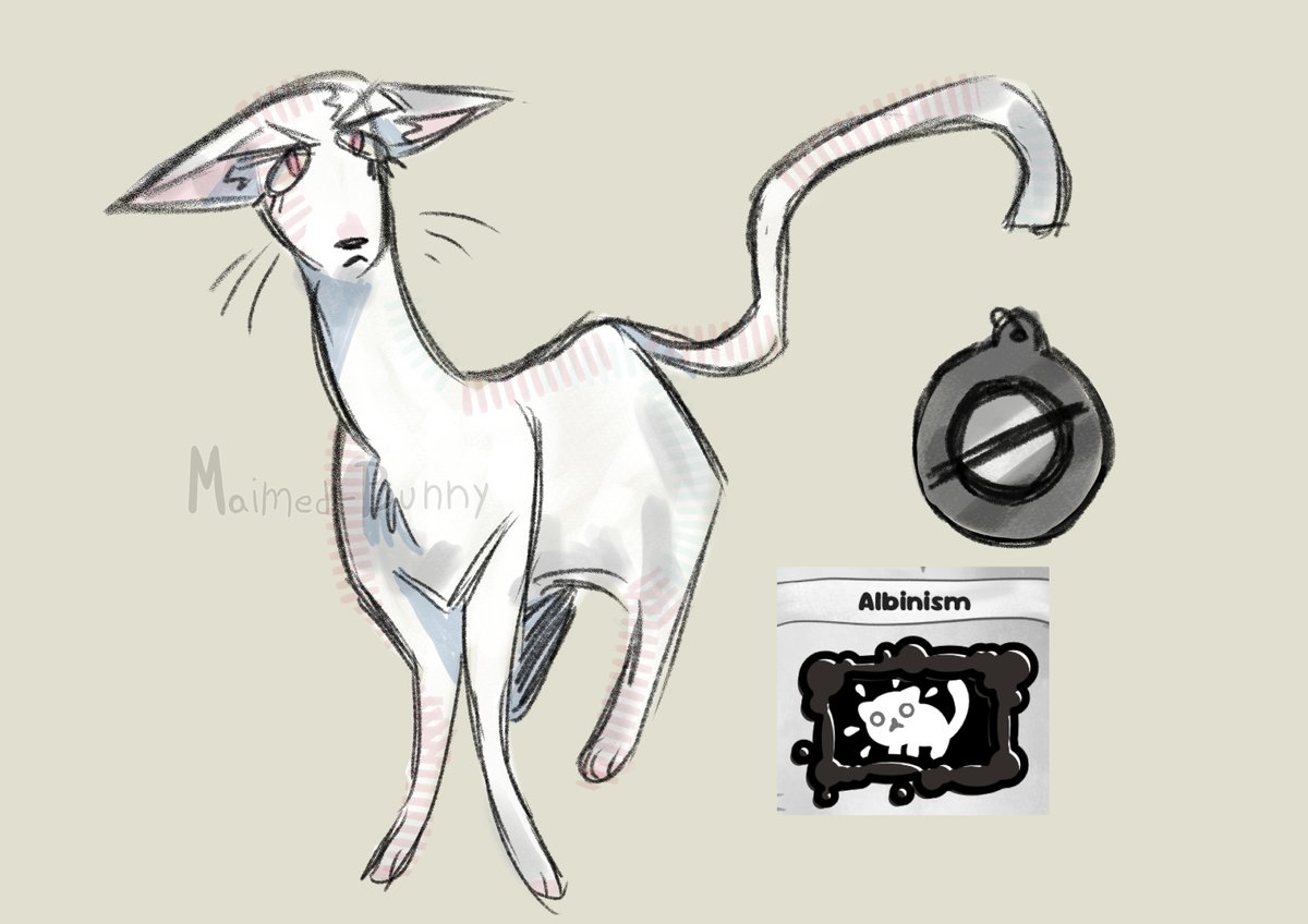 maimedbunny's tweet photo. #mewgenics #oc https://t.co/76KIRpOou9
