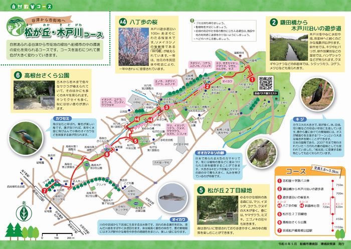 Funabashi_city's tweet photo. ／
🐸　自然散策マップがリニューアル！
   ＼

リニューアルにあたり、自然散策マップを、
自然散策コース６か所と自然観察スポット４か所に分け、
エリアの特徴に合わせたマップとなっています✨

ダウンロードはこちら👇
 https://t.co/D4BYxoFvCJ https://t.co/lUo5nOuiPM