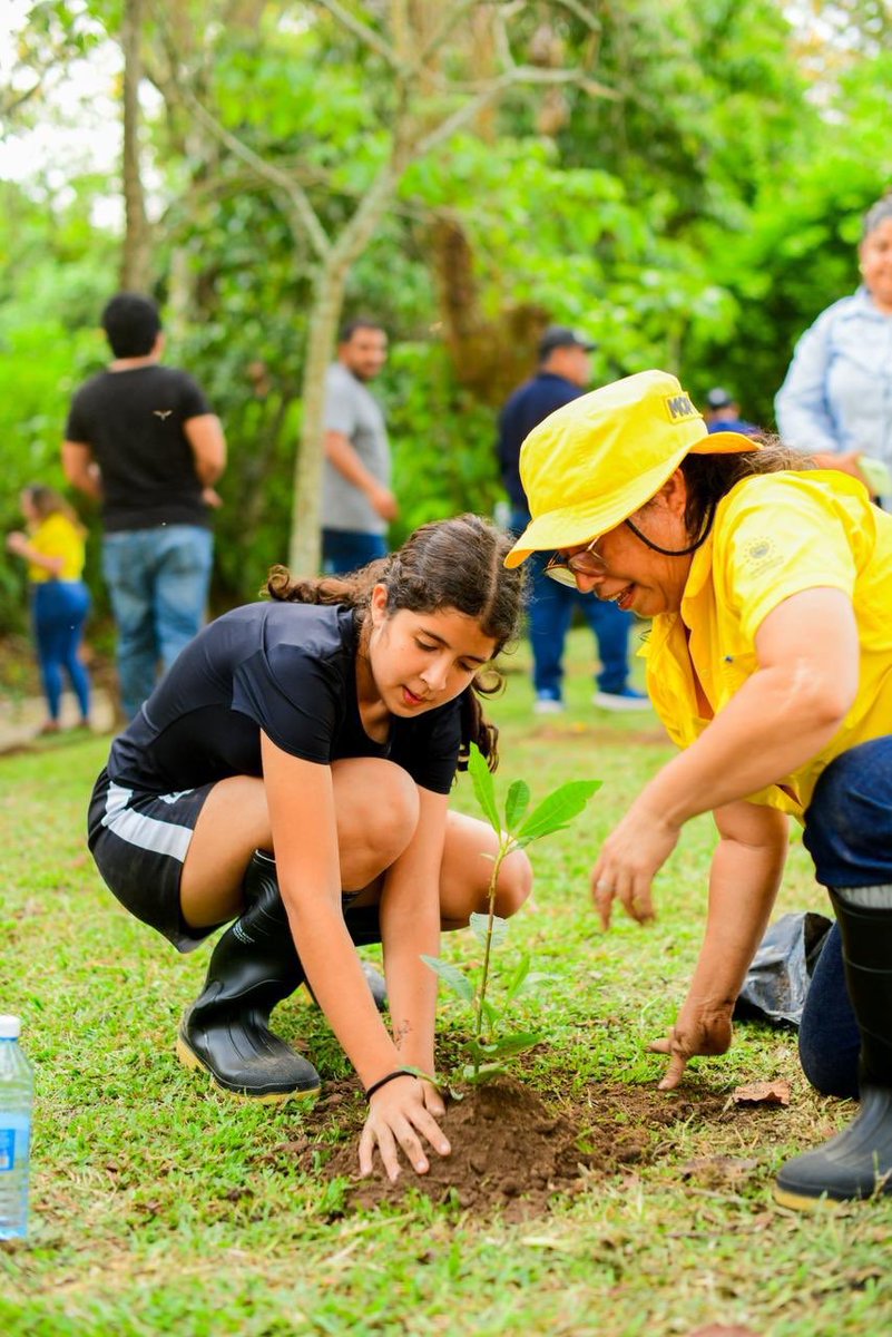 _Brozito's tweet photo. Todavía no ha llegado Ronoldy Quinteros el empleado de Milagro Navas a sembrar arbolitos al Parque Bicentenario 🌳 https://t.co/bkCgjBzFIn