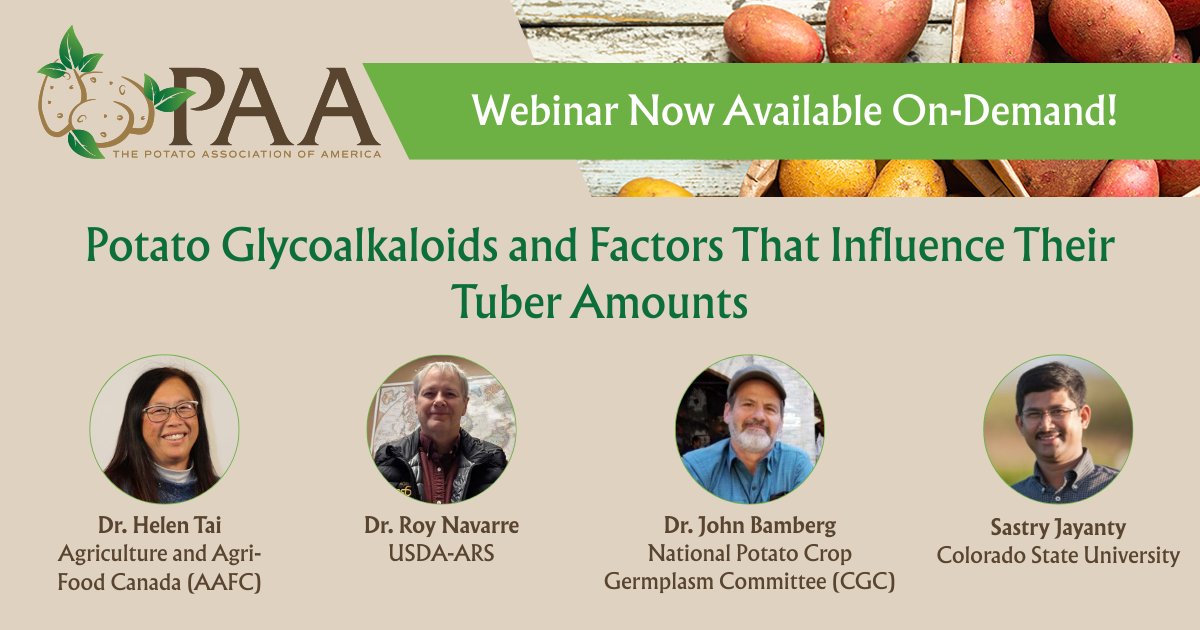 potato_america's tweet photo. Did you miss our live webinar? You can still hear from leading potato researchers and industry experts sharing the latest science on glycoalkaloids, tuber greening, food safety risks, and more. 

Watch now: https://t.co/s4wqsZY3Pk
#Glycoalkaloids #PotatoScience #OnDemand https://t.co/tOHS8cihbi