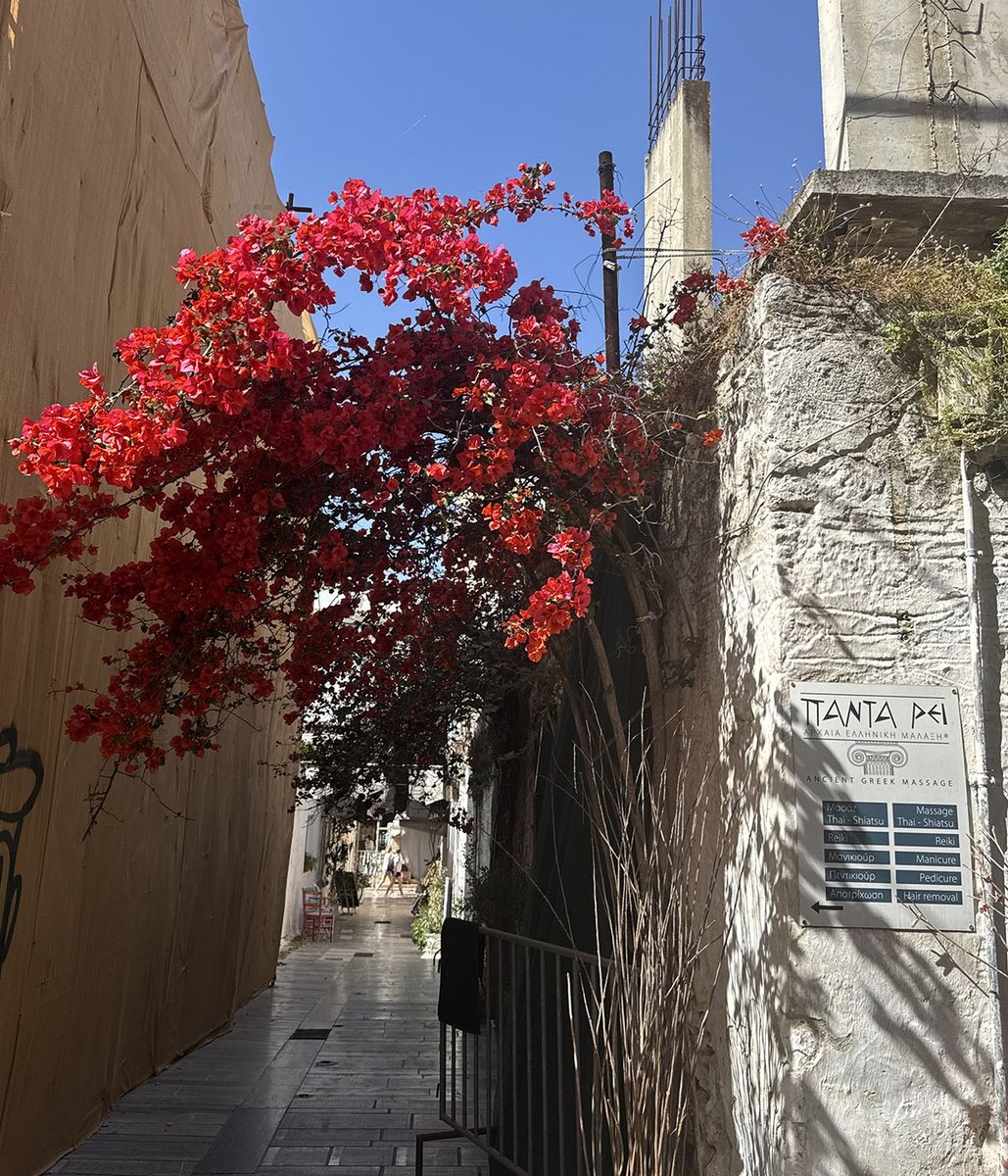 SimpsonCollege's tweet photo. Our Greece May Term group was out exploring the places where history happened 🏛️ https://t.co/itdLSkSiwt