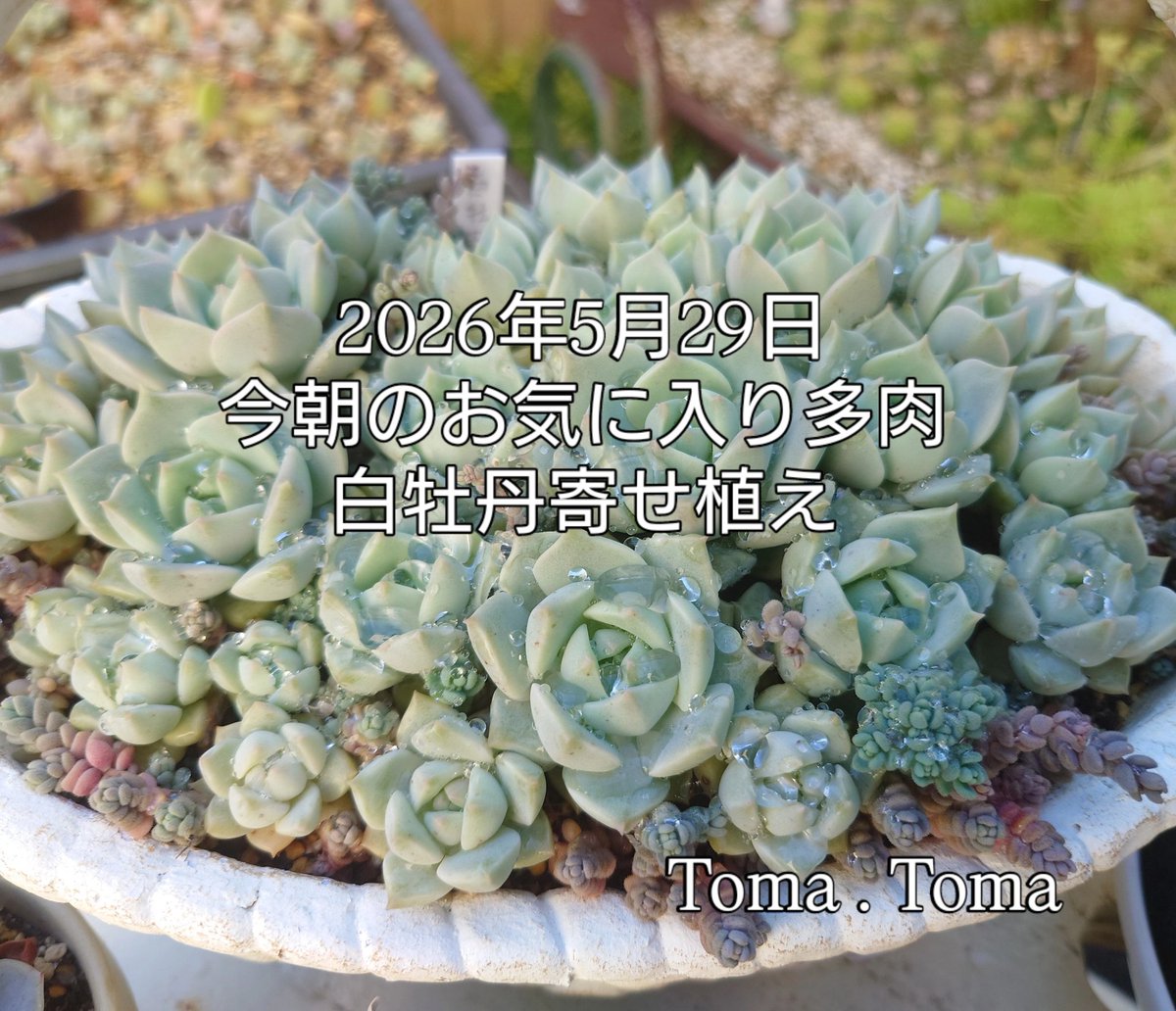 おはようございます*˙︶˙*)ﾉ