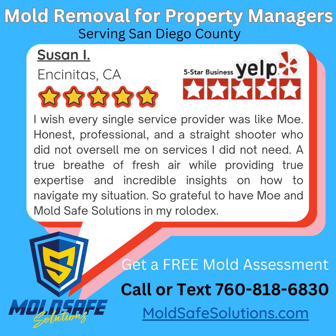 Moebedard33's tweet photo. Our clients love Mold Safe Solutions and so will you! We have over 100 5 star reviews for our mold inspections and mold removal services!

💬 Schedule your free mold inspection today
📞 619-332-3204 | 🌐 https://t.co/vlD4A7EVy7

#MoldInspection #MoldInspector #MoldTesting https://t.co/Z7Bk9fM66c