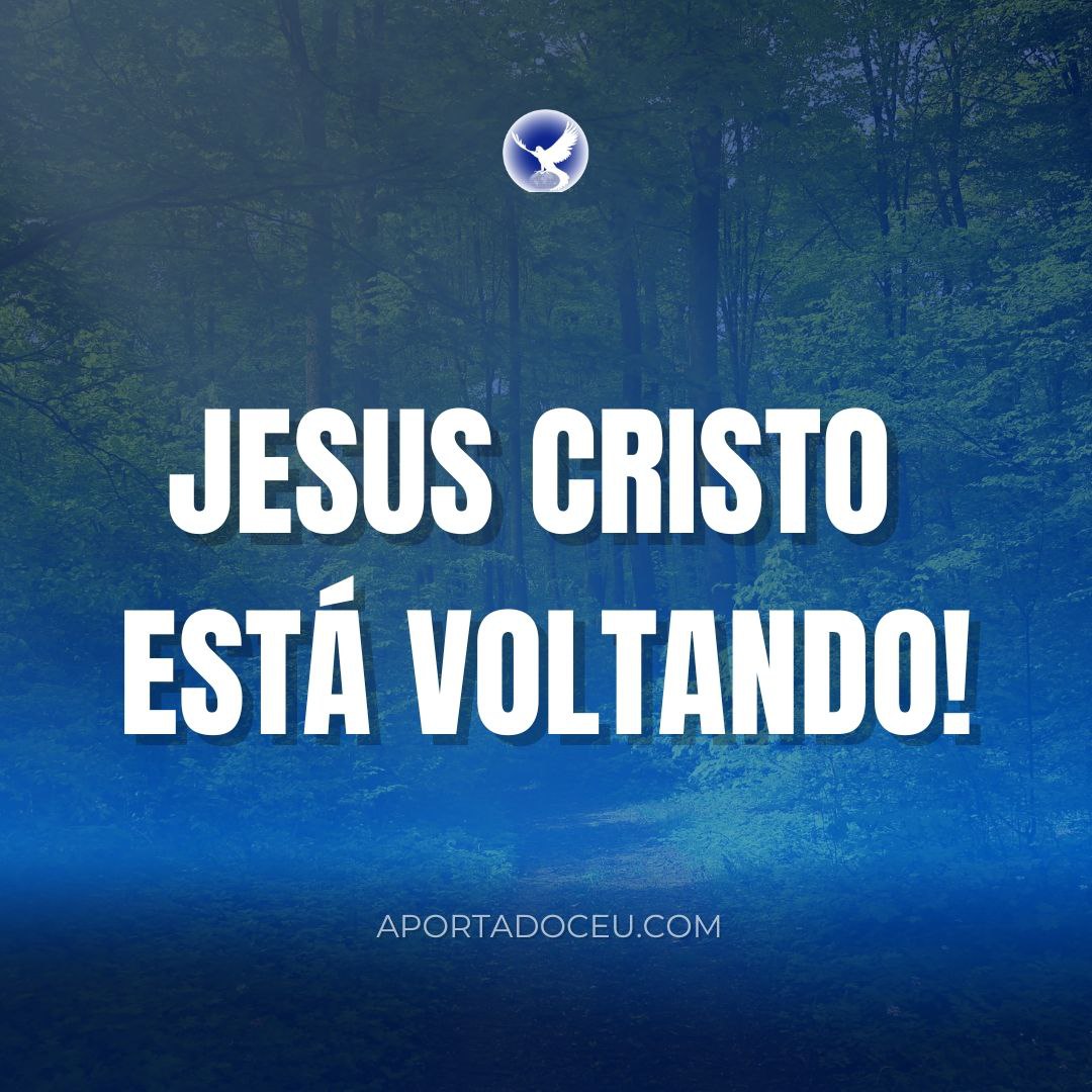 Fátima 🇧🇷 tweet media