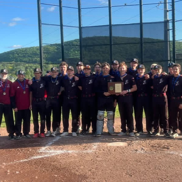 ECSD_Schools's tweet photo. 🏆⚾️ Congratulations to the Elmira Express Baseball team - Section IV AAA Champions! #GoExpress https://t.co/gQGuJeIMd1