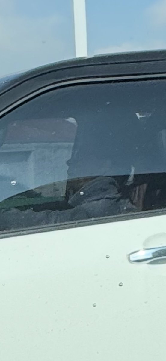 pekrrh's tweet photo. @SoyNaucalpan @satelucos @zona_fitnesslv @zona_fitnesslv @lomasverdes_6ta una fina Naca cortando la fila de la subida a @AUrbanaNorte a la altura del Naucali. @NaucalpanSeguro para que sea famosa. https://t.co/ys87Ls5J6x