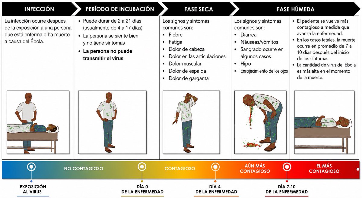gabizambranoMD's tweet photo. Fases clínicas Bundibugyo ebolavirus (BEBOV) CDC 2026 https://t.co/IdocTQSf5e