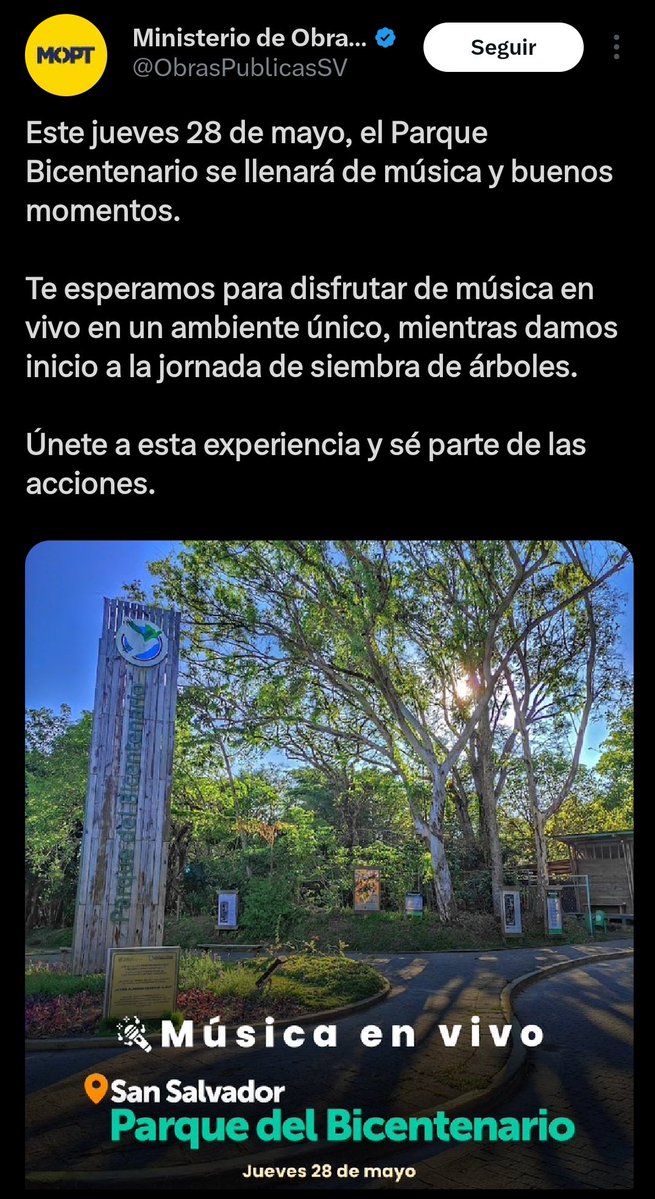 Sol Marcela tweet media