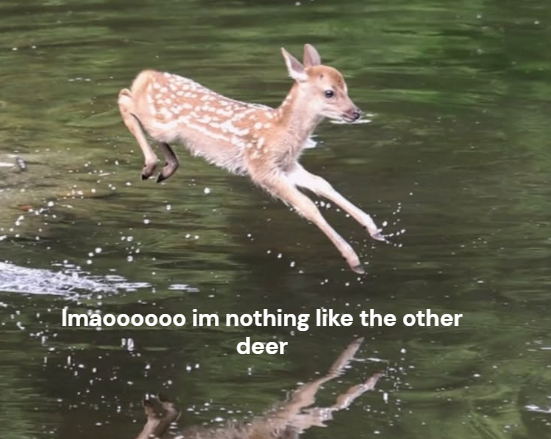 John fawn tweet media