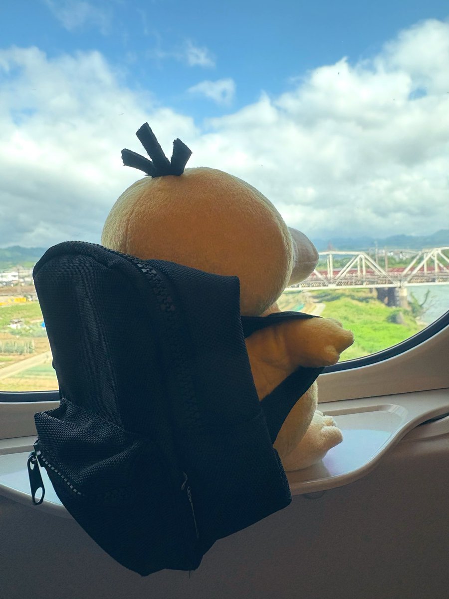 schipaaaaa's tweet photo. 今日からgoフェス東京参戦〜✌🏻
天気良くてよかったぁ🐥🤍 https://t.co/PzT6Vq7itK