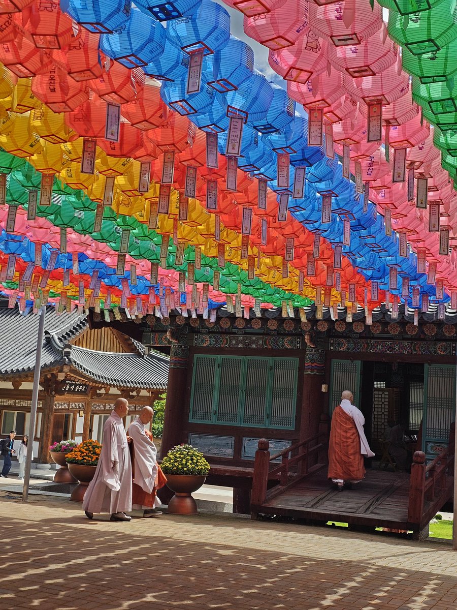 BrianVigenVO's tweet photo. Sokcho, South Korea 🇰🇷🕊💚 https://t.co/p1Z0miBDOC