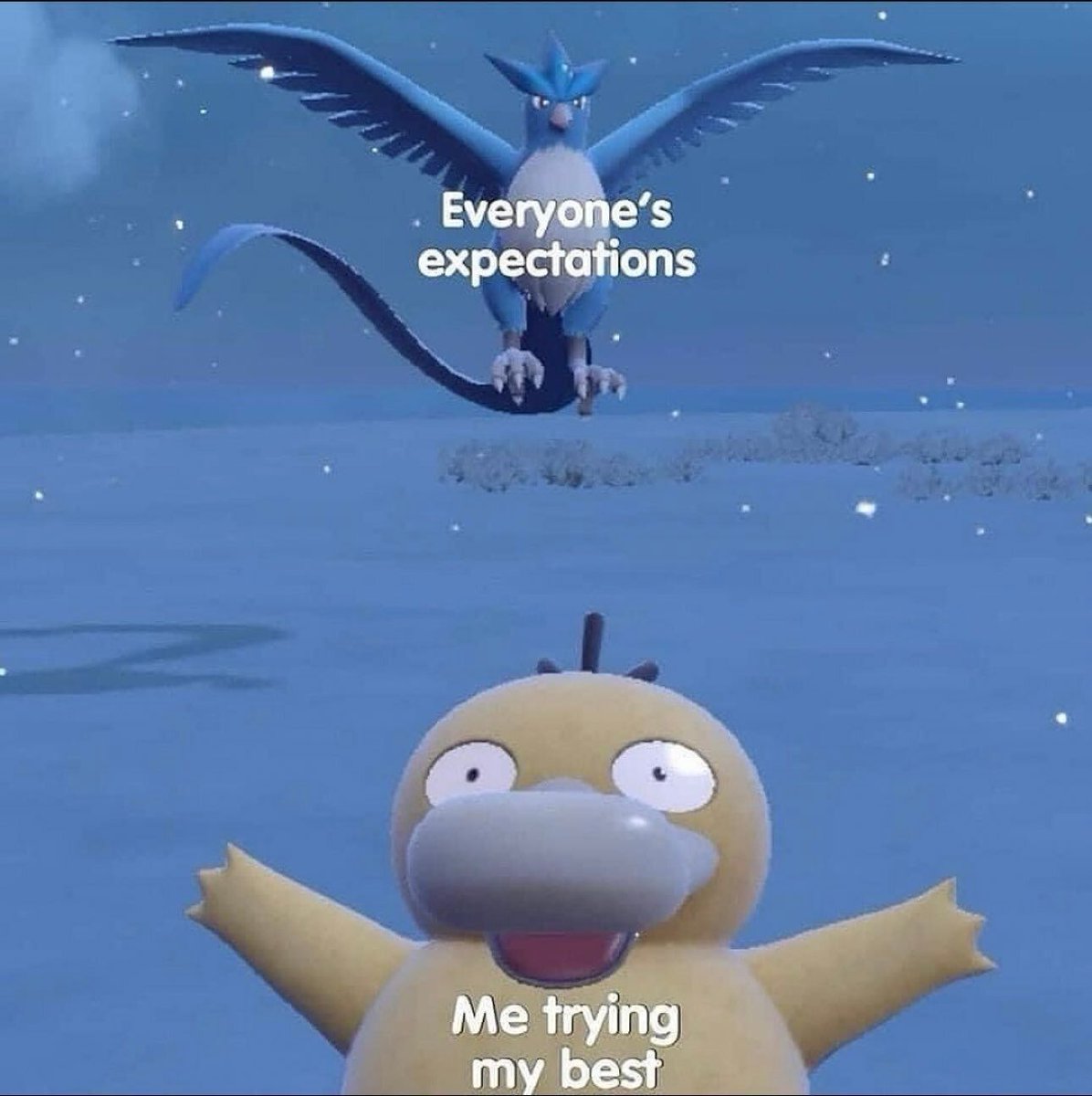 Pokémon Perfect Shots tweet media