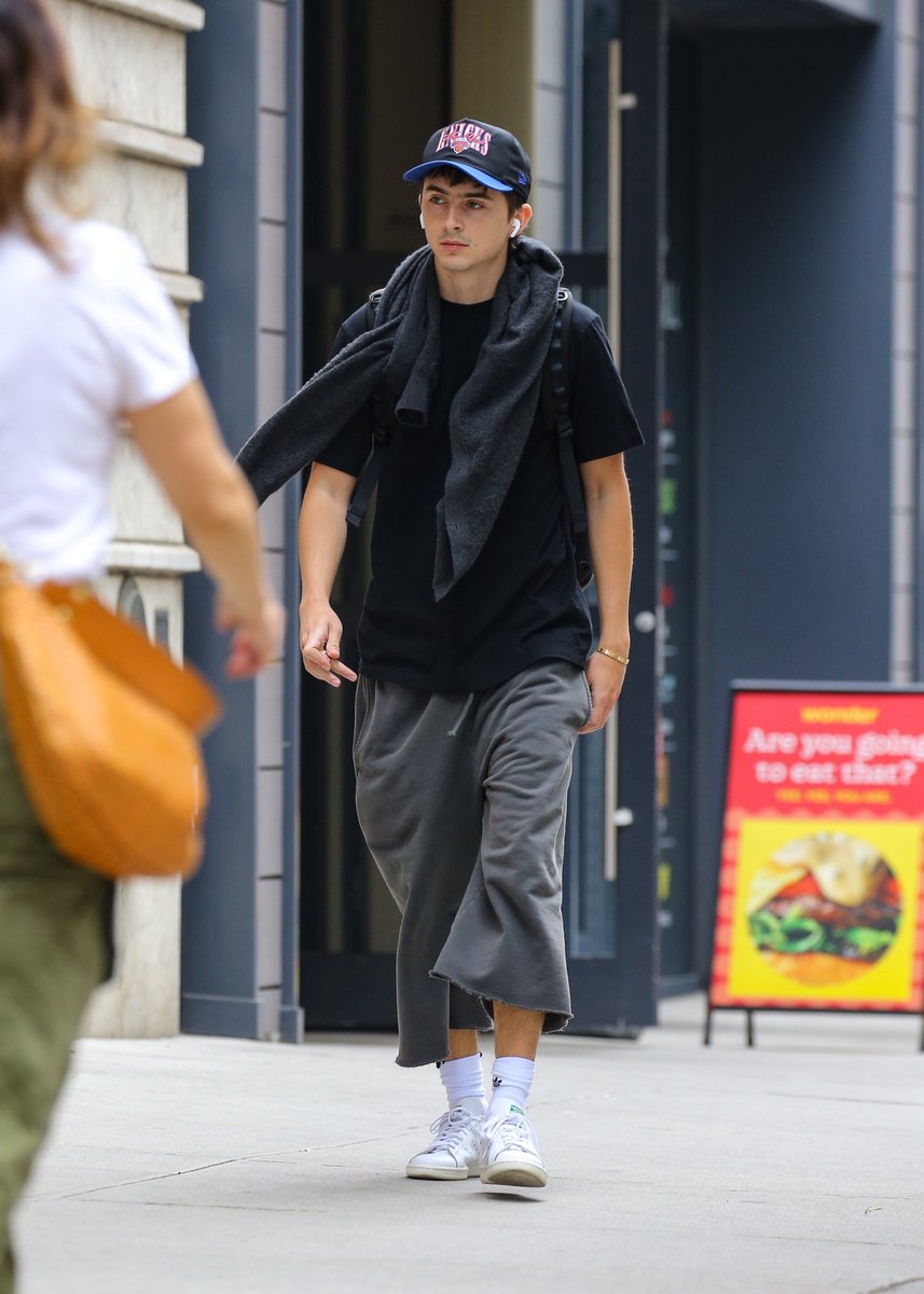 timothée chalamet nation tweet media