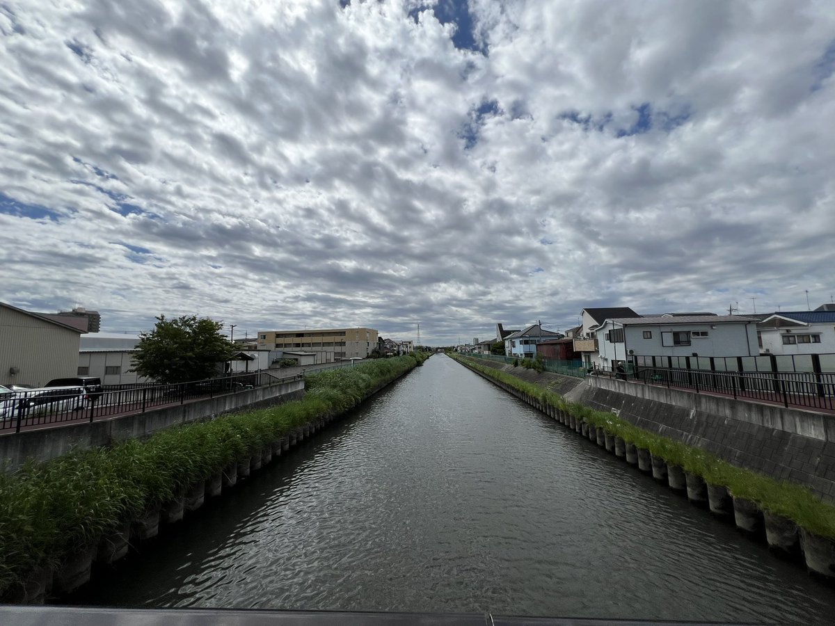 miki_mfb's tweet photo. 曇りです🌥️ https://t.co/RSYhttkMcC