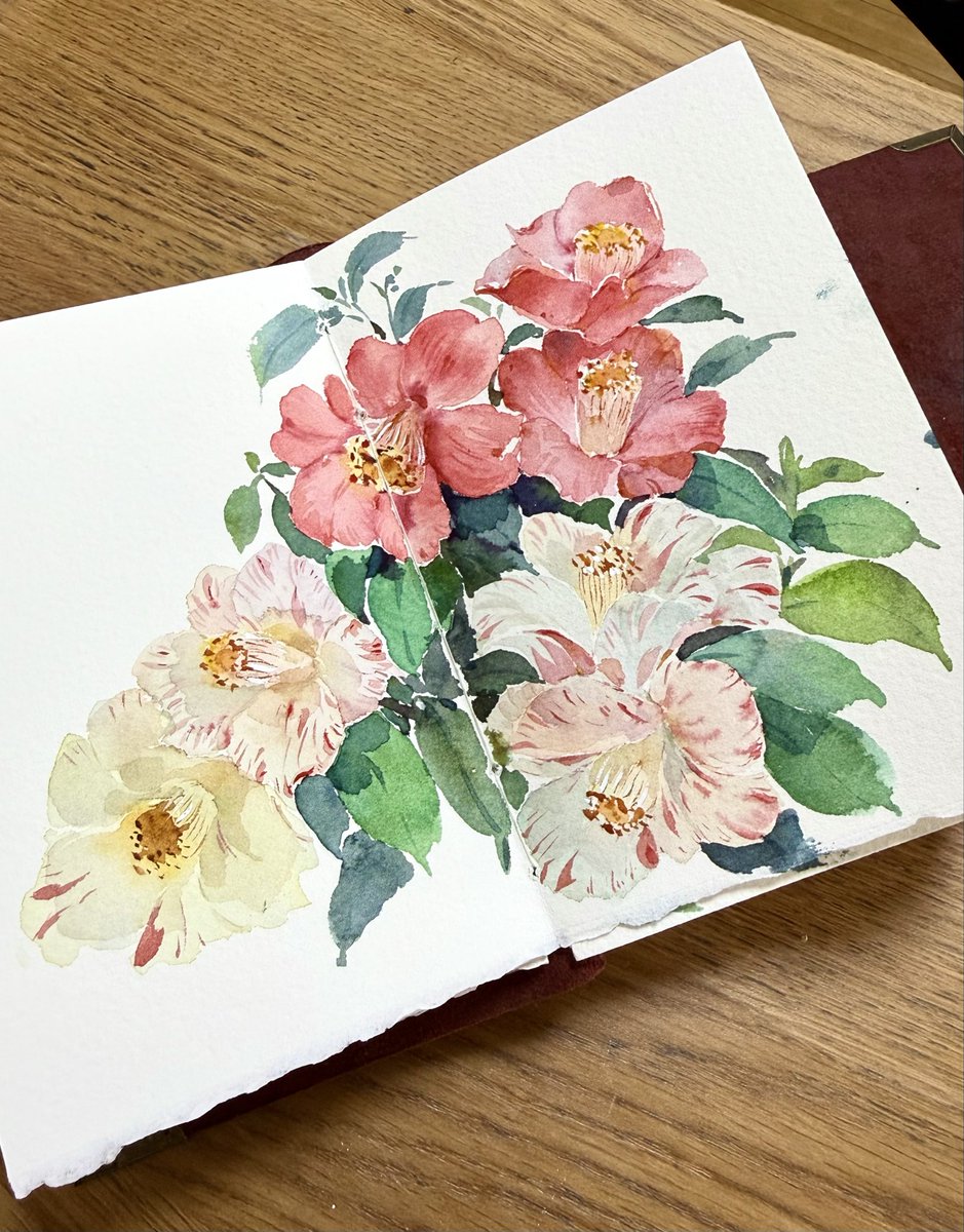 DingpingCn's tweet photo. 昨夜の小さな練習✍️　二色の山茶花 https://t.co/5eWDAymmCo