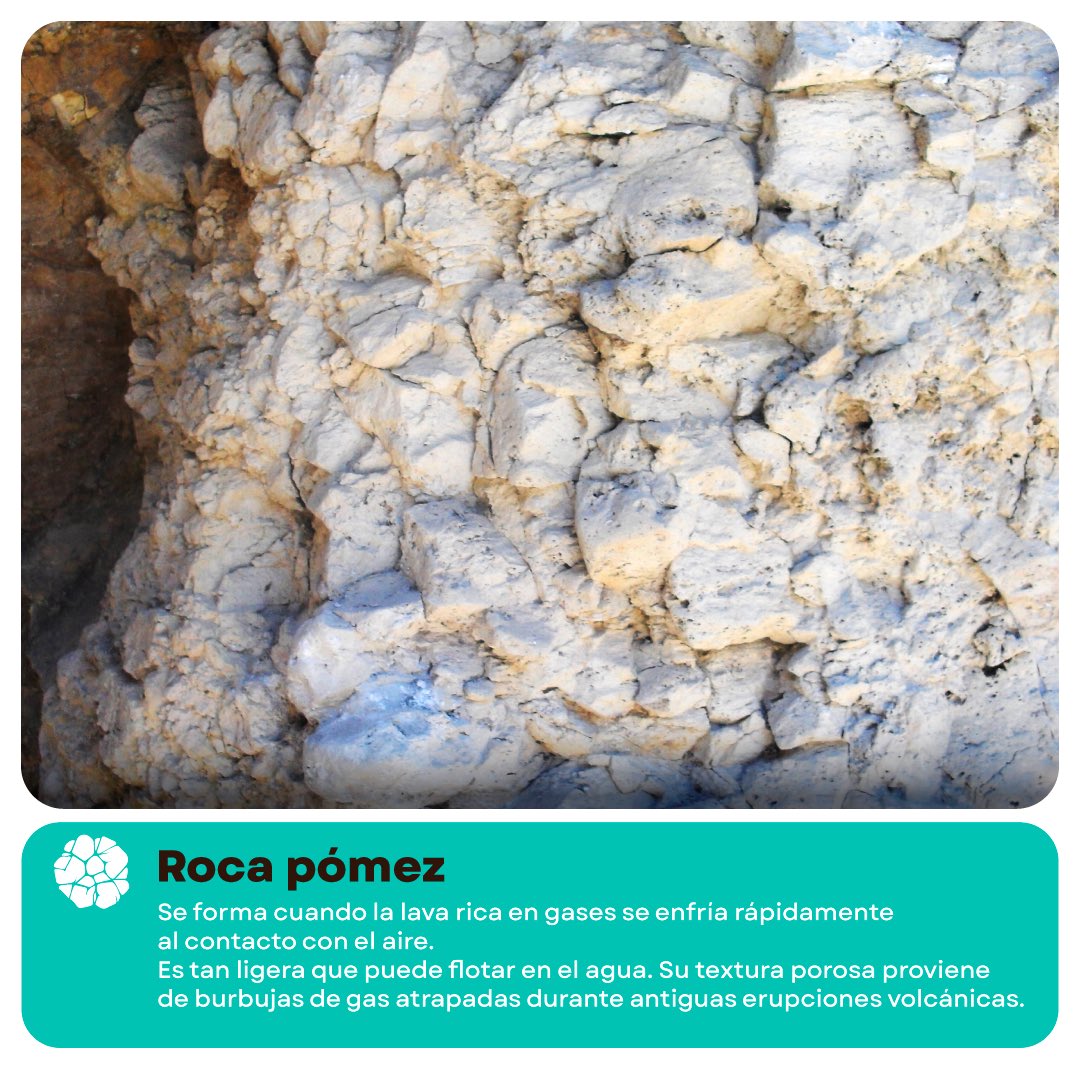 BosquePrimavera's tweet photo. 🌋👣 ¿Sabías que el sendero rocoso que recorres en el Bosque La Primavera tiene origen volcánico?

Sus rocas, formadas hace millones de años por lava, ceniza y actividad geotérmica, dio vida a uno de los paisajes naturales únicos de nuestro estado y del mundo. 🌎🌳 https://t.co/gxNf8LaF7G