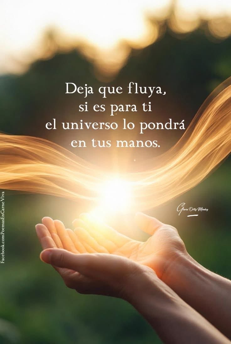 LQuino47372's tweet photo. https://t.co/QCo8KqMHM0