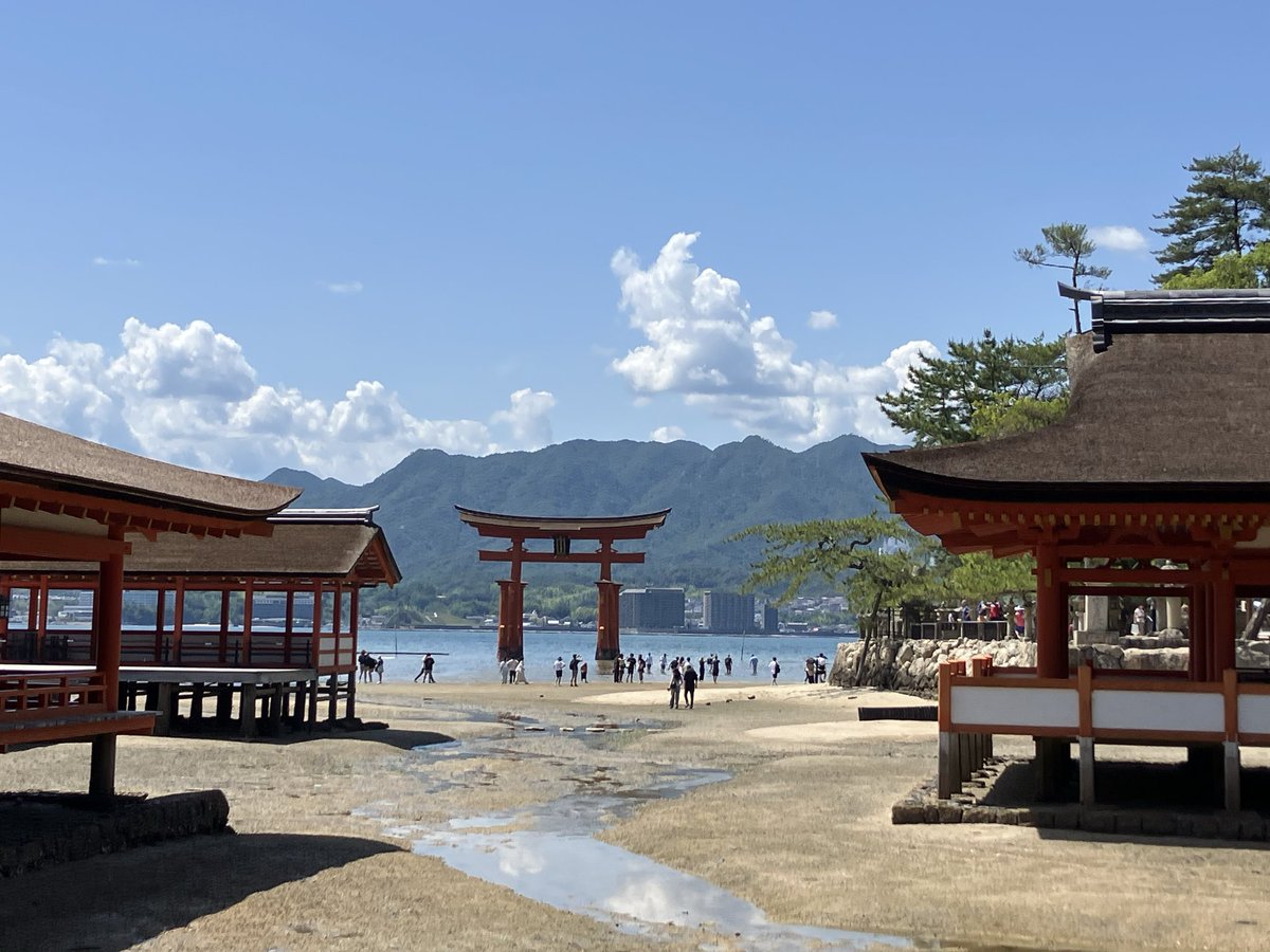 IsseiM6's tweet photo. 凄く縁起が良さそうですよね、ええ...

#厳島神社 
#おみくじ https://t.co/HsgGheBo2z