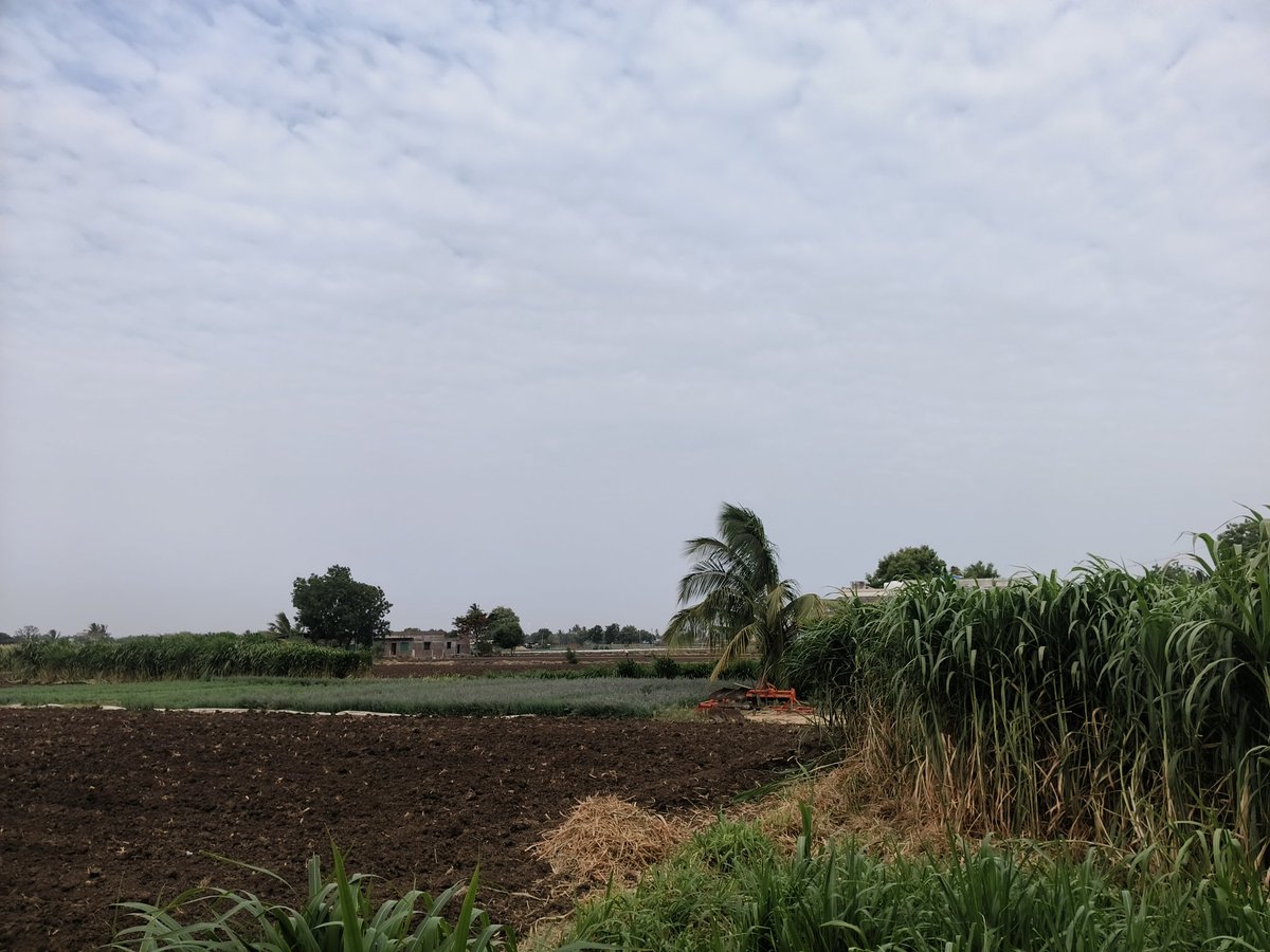 rutu609's tweet photo. Good morning 🌞 
Looks like raining 🌧️ https://t.co/70Co0iNwxn