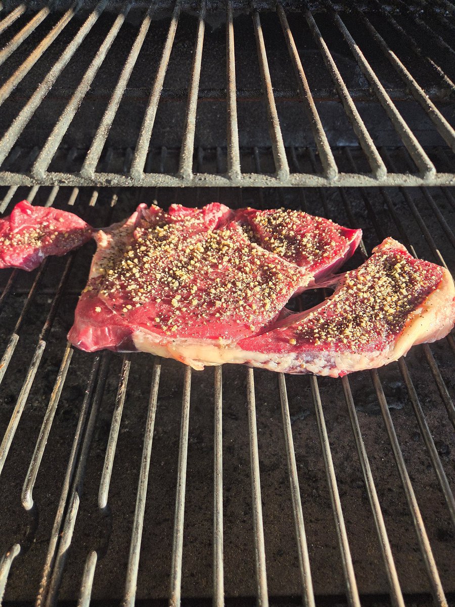 Parker Cattle tweet media