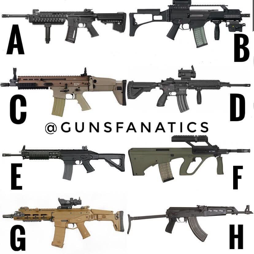 Daily Gun Dose tweet media