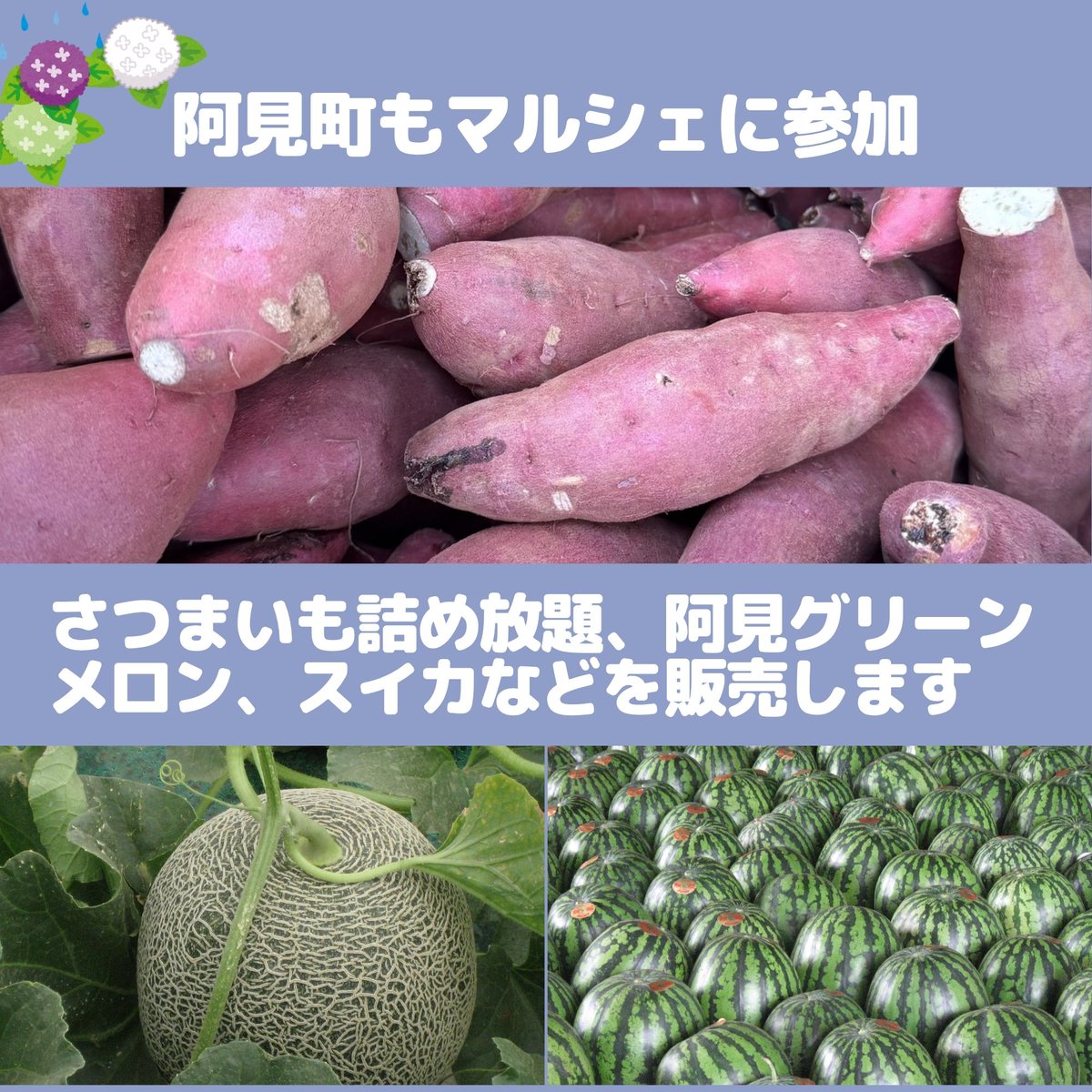 oideyo_ami's tweet photo. 💠開成町あじさいまつり💠

あみ観光協会は6/6（土）に出店！

🍠さつまいも詰め放題
🍉スイカ
🍈阿見グリーンメロン
🍛二所ノ関のカレー
🍲二所ノ関ちゃんこ鍋の素

販売予定！

📍開成町あじさいの里

#開成町あじさいまつり #阿見町 https://t.co/eifmBgHHUq