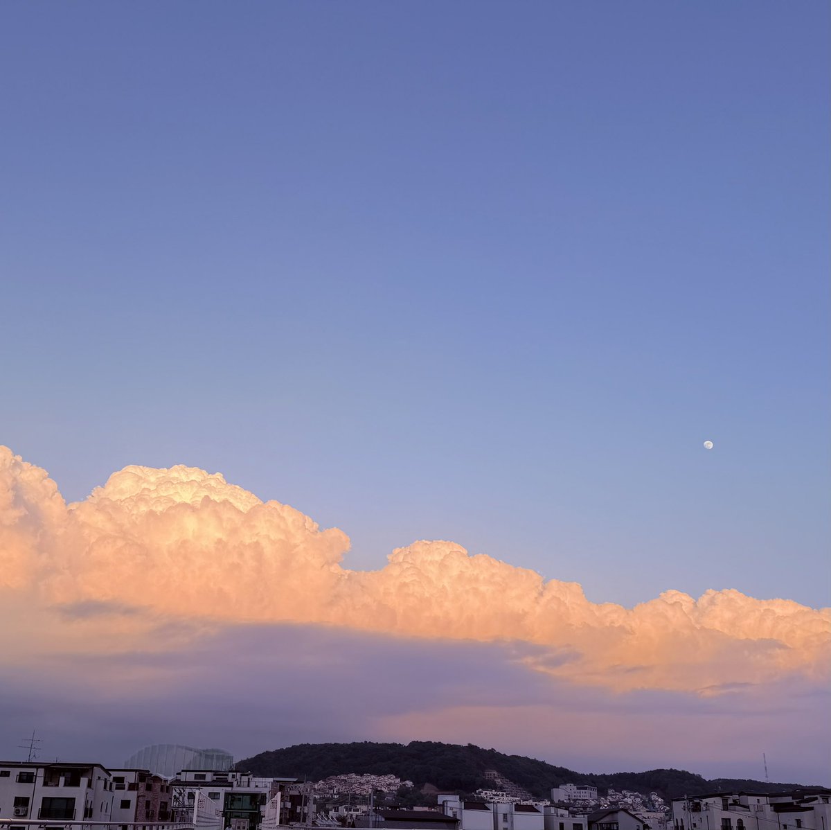 artnavant's tweet photo. 어제 하늘 https://t.co/Ce7Q5ehFYj