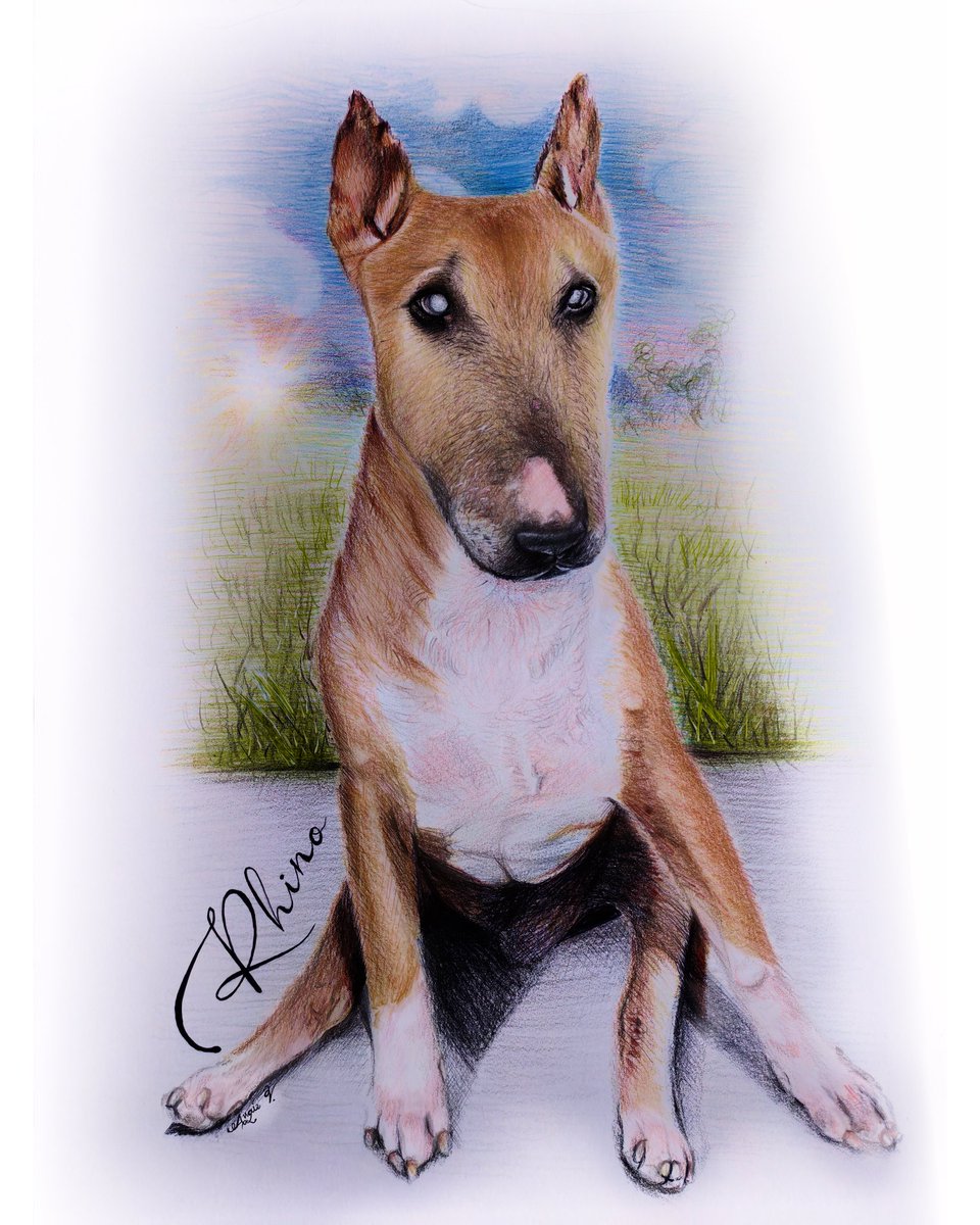 Korosu__G's tweet photo. Terminado ✍✔
Dibujo bajo pedido
Perrito 🖤
Bolígrafo y colores 🖊️
#DogDrawing #Draw #Drawing https://t.co/oX3zGeeOYX