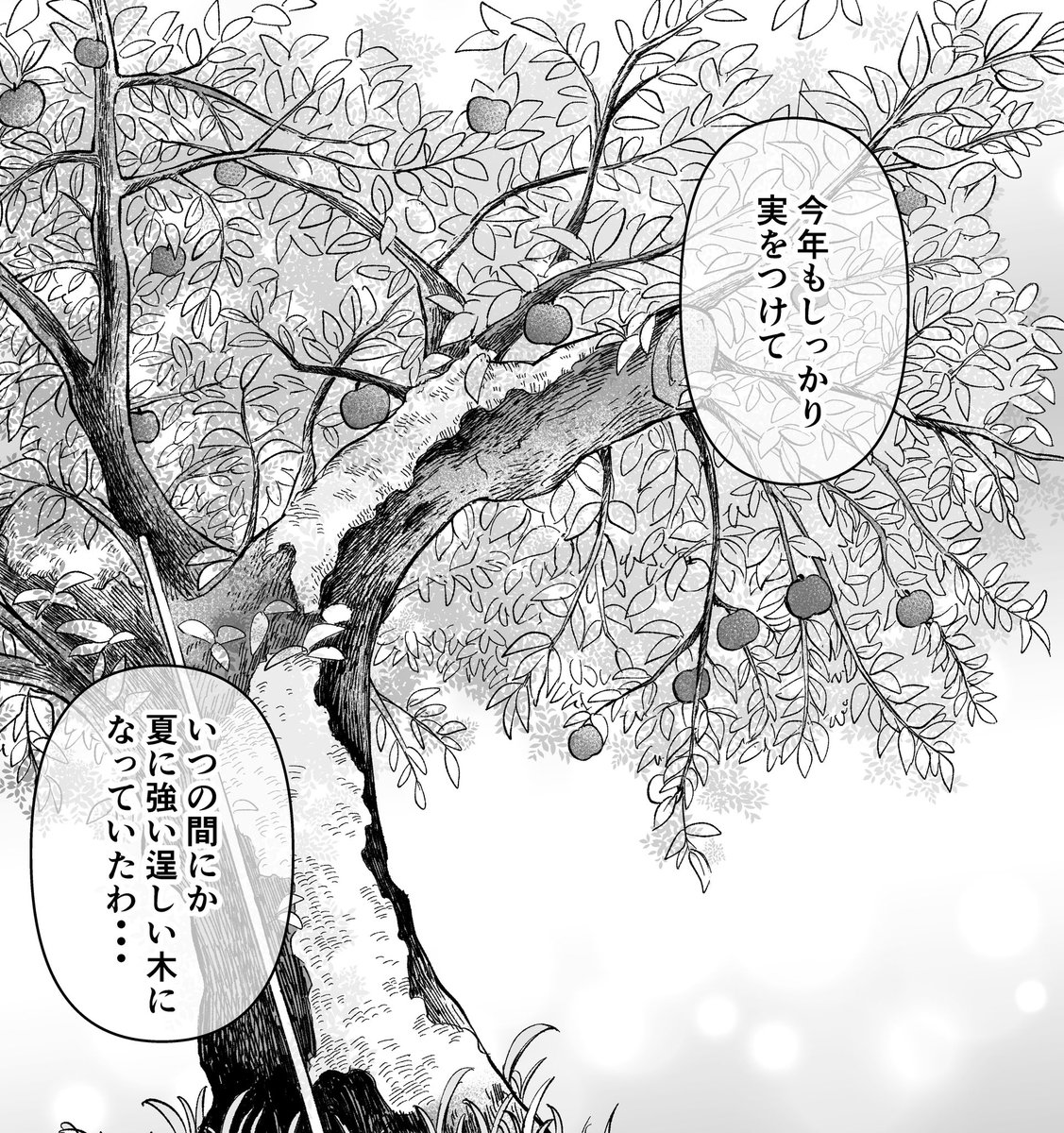 「家政婦よんだら猫がきた」 18-3話が更新されました!
りんごの木のように逞しく生きよう🍎✨✨
これにて18話りんご農園編は終わりです!単話配信は6/19予定です😸😸
https://t.co/mRq1lMdhKo