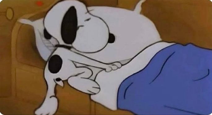 memesoffia's tweet photo. Vou voltar a dormir porque meu alarme vai tocar em 5 minutos. https://t.co/cbk7Ayy2et