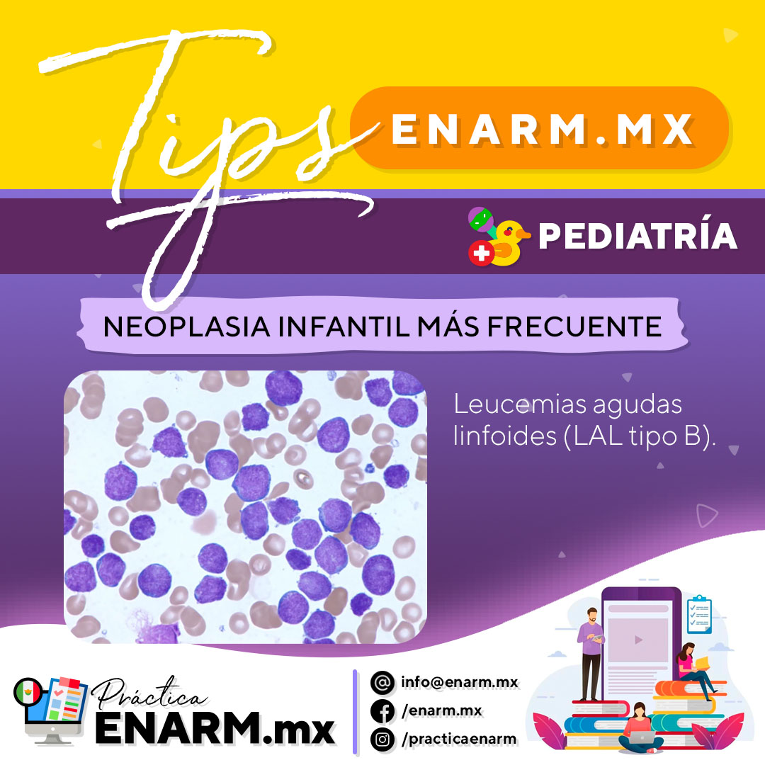 practicaenarm's tweet photo. 🚀 Descubre valiosos consejos y tips para prepararte eficientemente para el #ENARM. ¡Maximiza tus posibilidades de éxito en el examen con nuestros cursos de preparación en https://t.co/2I3sLUtg6w! Únete hoy y aprovecha nuestros recursos y experiencia. https://t.co/hS8bXkvwHH