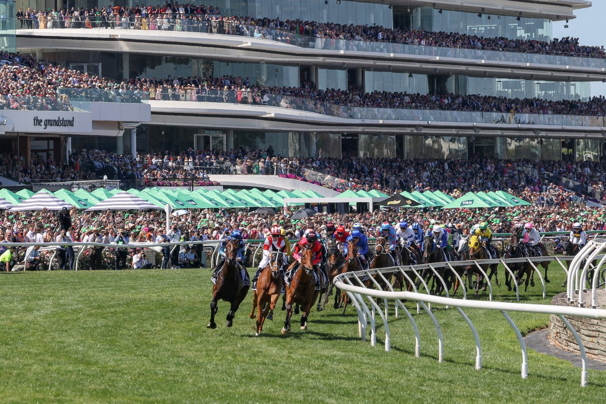 MyRacehorseANZ's tweet photo. Happy retirement to MyRacehorse's first Group 1 winner and Melbourne Cup runner, Just Fine!

What an incredible journey it has been. Thank you to @GaiWaterhouse1 and the broader team for all of the work that has been done with him over the years.

 Looking forward to seeing him enjoy his retirement with @tillymccarroll
