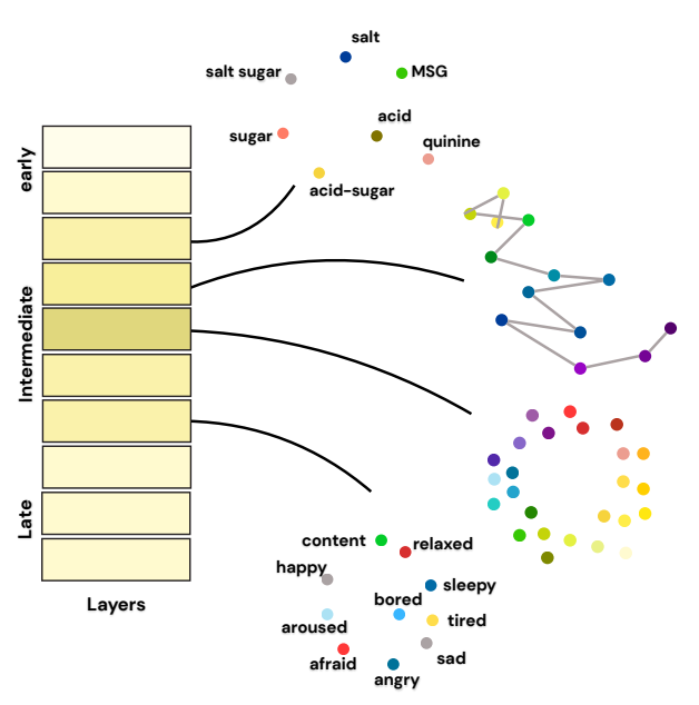 ai_database's tweet photo. 文字だけで学習したはずのLLMの内部に、色、音の高さ、味、感情といった人間の知覚・情動領域に対応する「地図のような幾何構造」が自然に現れると報告されています。

たとえば色は人間の色相環に近い円環構造として表れ、感情は快不快や覚醒度を中心とする情動空間に沿って配置されるなど、 感覚を直接教えられていないにもかかわらず、人間の感じ方に近い構造が浮かび上がっていました。

ただし、これはあくまで「人間の知覚構造と似た内部表現が見られる」という結果であり、なぜそうなるのかの仕組みはまだ未解明です。対象も4つの領域と限られたモデル群にとどまるため、これをもって「LLMが人間のように感じている」と読むのは行き過ぎです。

とはいえ、LLMの内部を「どの層で人間らしい知覚の地図が立ち上がるか」という観点から調べられる点は面白く、今後は他の感覚領域やモデルにも解析が広がることが期待されます。