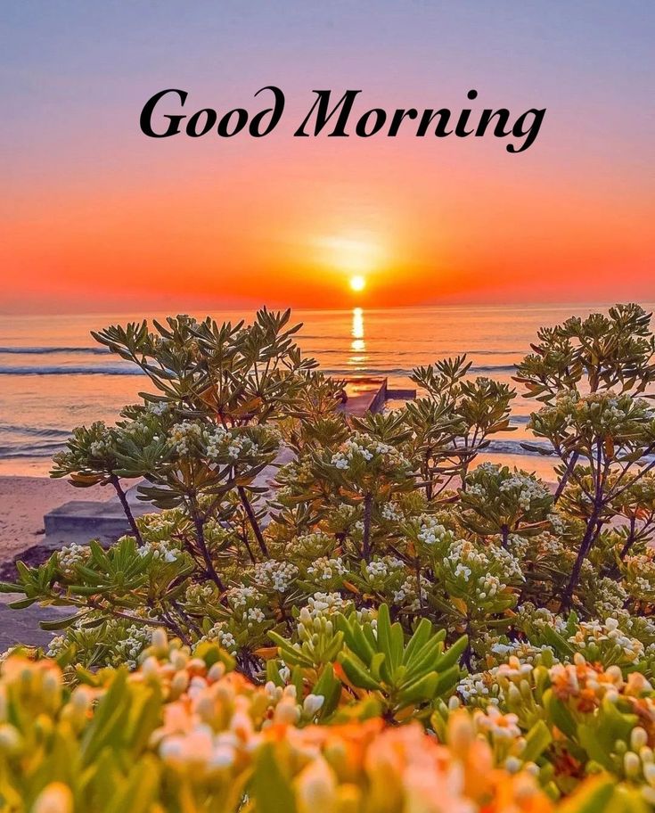 036PPSS's tweet photo. Good Morning friends. 

“A morning routine offers us a fixed point to count on in the midst of our fast-moving worlds.”
                  🤝Stay connected 🤝 https://t.co/m7wNJgkovF
