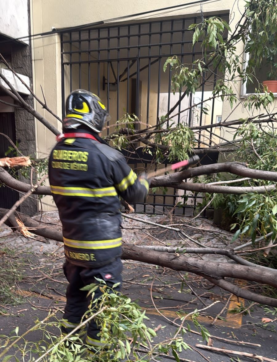 Bomberos Ciudad de México Oficial tweet media