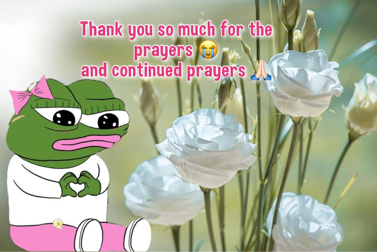 Brenda tweet media