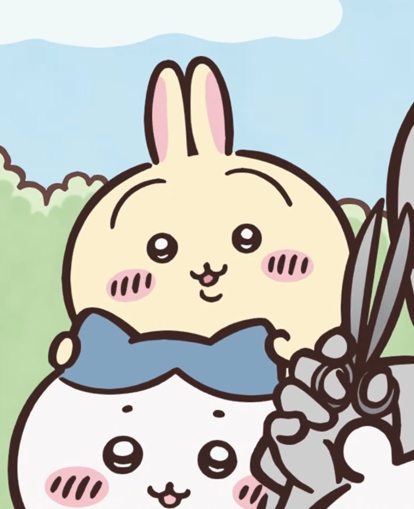 호롱 tweet media