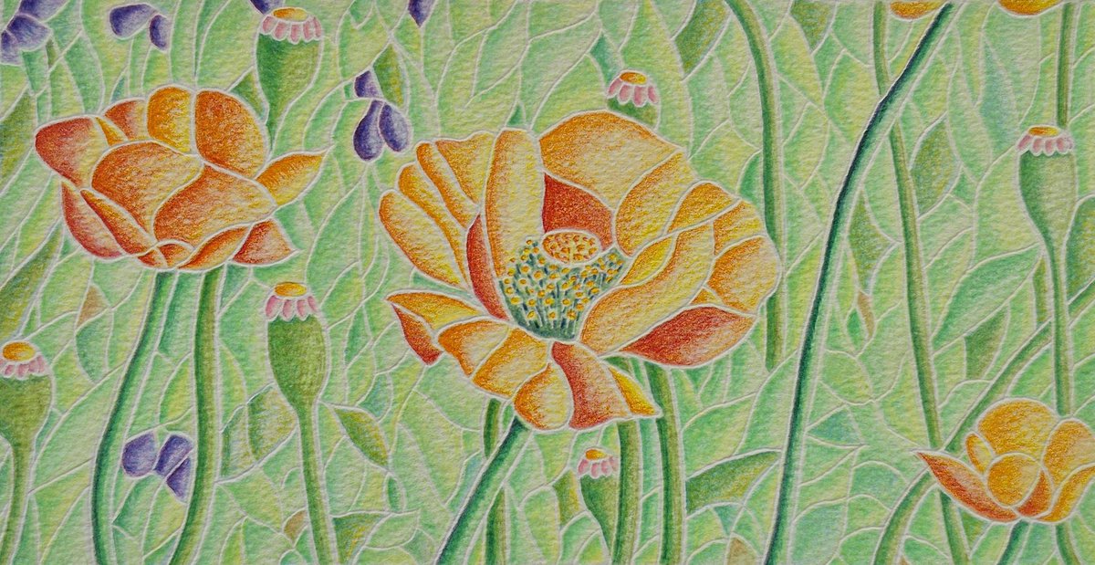 hh212466's tweet photo. 野に咲く花を描いてみました
#イラスト　#花　#色鉛筆 https://t.co/YpVjWFUDj7