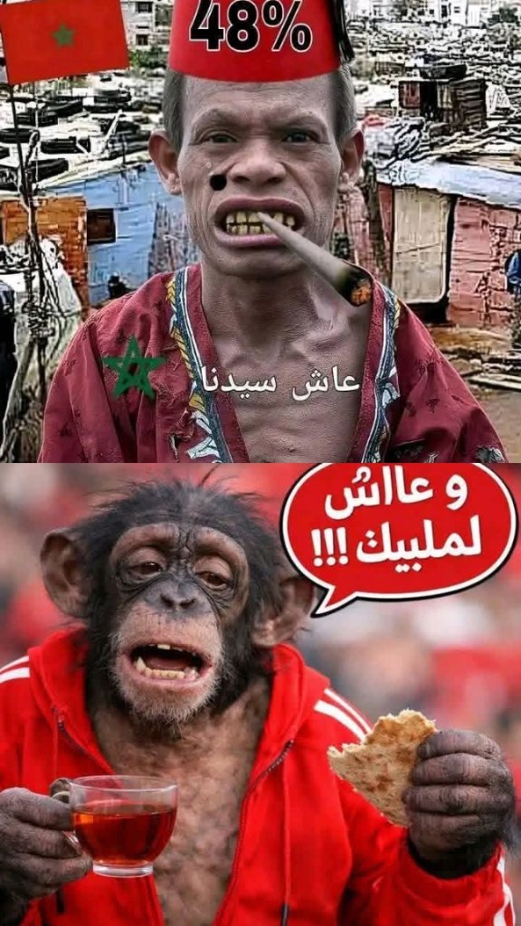 Abdelhak Artistman tweet media