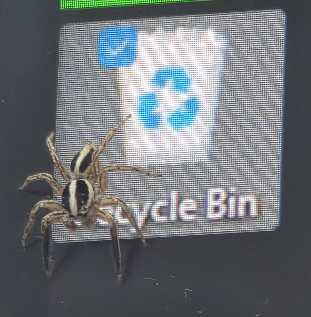 Argent_Shantien's tweet photo. Where you belong >:( https://t.co/Mop4FXFMp5