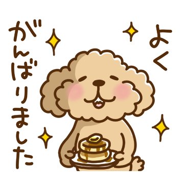 Shinchan08033's tweet photo. @akai_miki_hrs https://t.co/3bUwYxCm7l