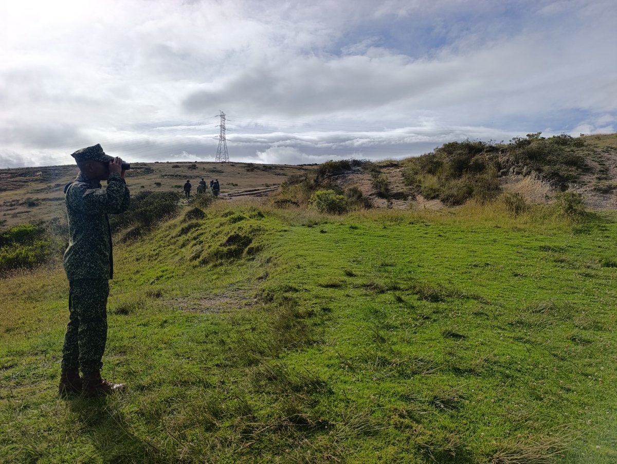 JBotanicoBogota's tweet photo. 🎶 Tras los cantos de la alondra cornuda (Eremophila alpestris peregrina), endémica del altiplano. Profesionales del Jardín Botánico recorrieron Cerro Seco (Ciudad Bolívar) con apoyo de la Infantería de Marina para fotografiarla y grabar sus cantos. Cerca de 10 avistadas. 💚🌿 https://t.co/O7HSJtXKGr