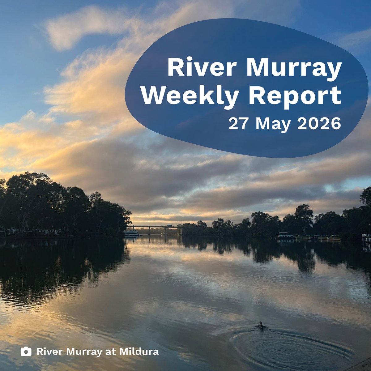 MD_Basin_Auth's tweet photo. Check out how we're managing flows and storages in the River Murray System in this weekโs #RiverMurrayWeeklyReport.
๐https://t.co/04uiR22SWt
#WaterQuality #Inflows #HumeDam https://t.co/m88JlI4p6W