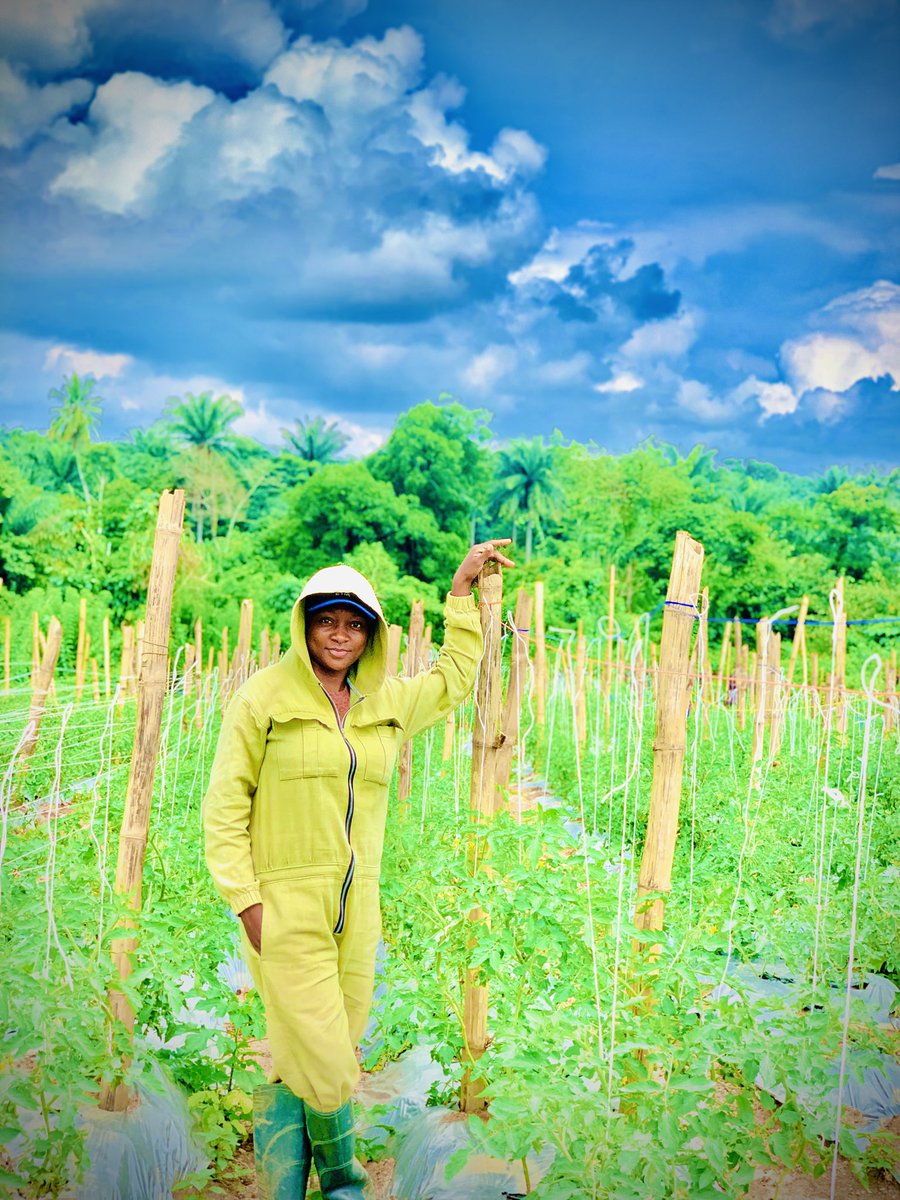 naijafemalefarmer tweet media