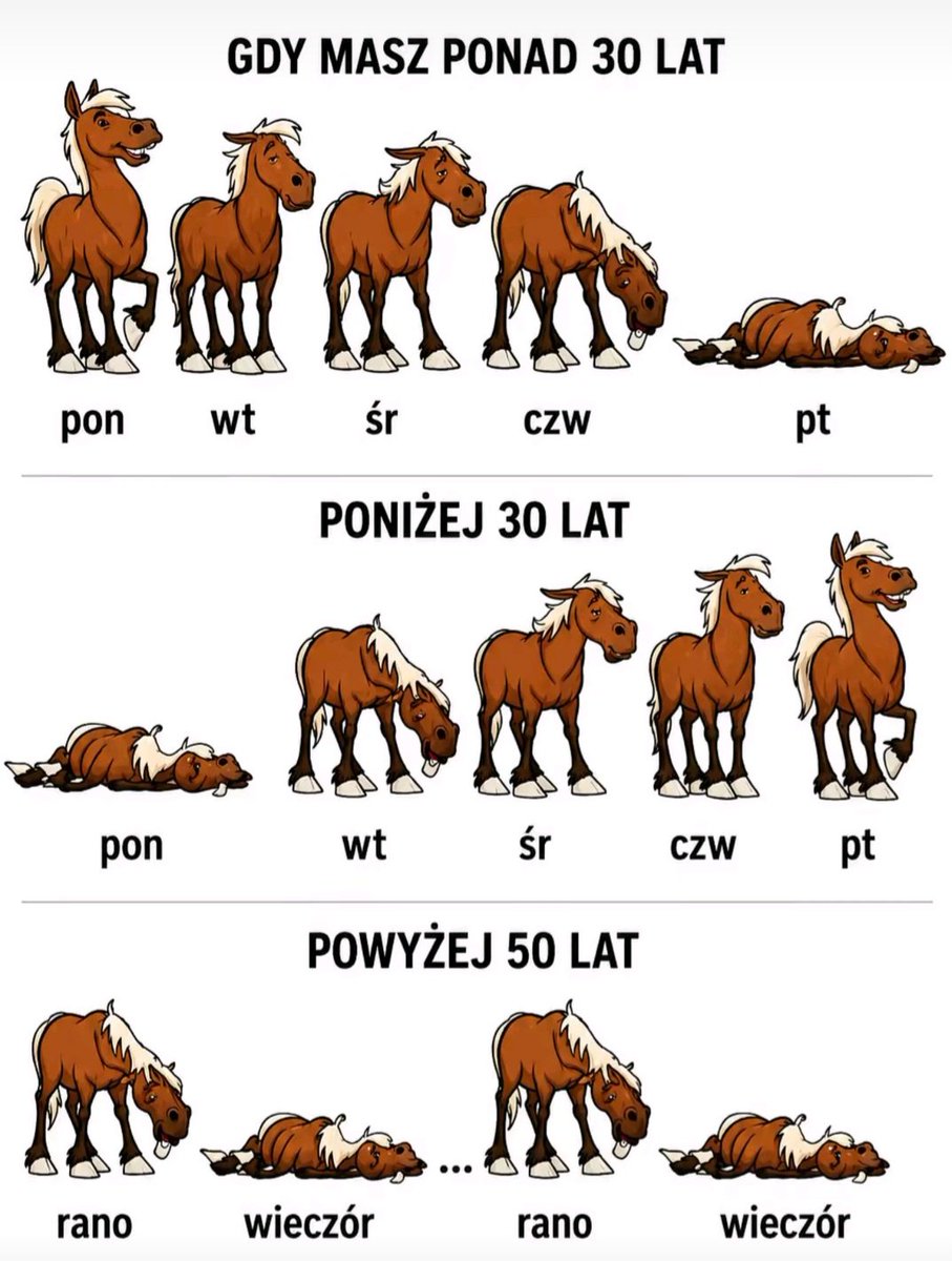 Kasia49045337's tweet photo. Tydzień w pracy w zależności od kategorii wiekowej🤪 https://t.co/Jv3IKJ7zt5
