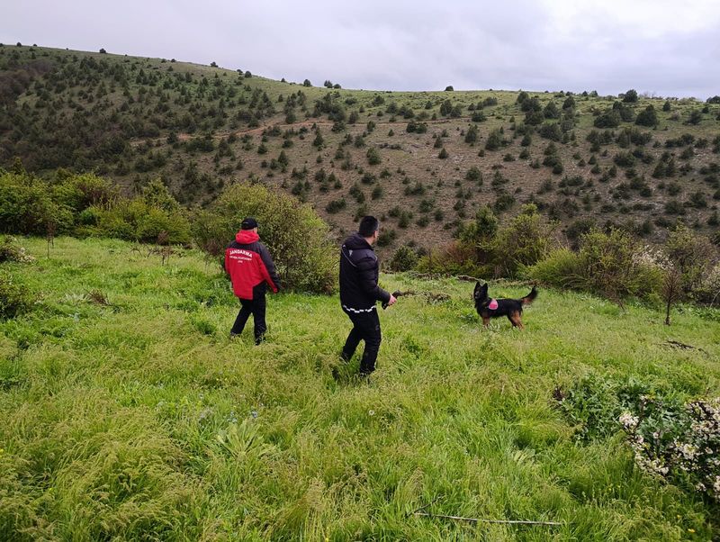 Haberturk's tweet photo. Yozgat'ta kaybolan 3 yaşındaki Aybüke İnce, yaylada uyurken bulundu. Ekipler, çocuğu sabah saatlerinde evine iki kilometre mesafedeki yaylada uyurken buldu https://t.co/Tv33Lhjnlz https://t.co/Xrt1DQi4bu